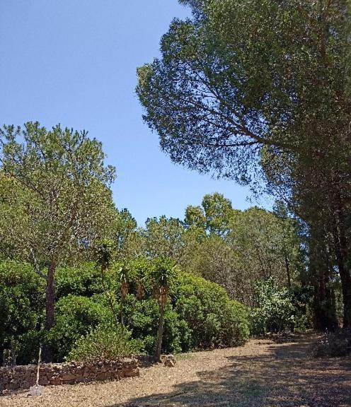 Chia - Casarosa Βίλα Domus De Maria Εξωτερικό φωτογραφία